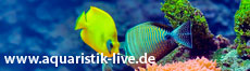 Aquaristik_live