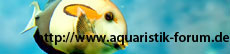 aquaristik-forum