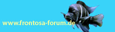 frontosa-forum